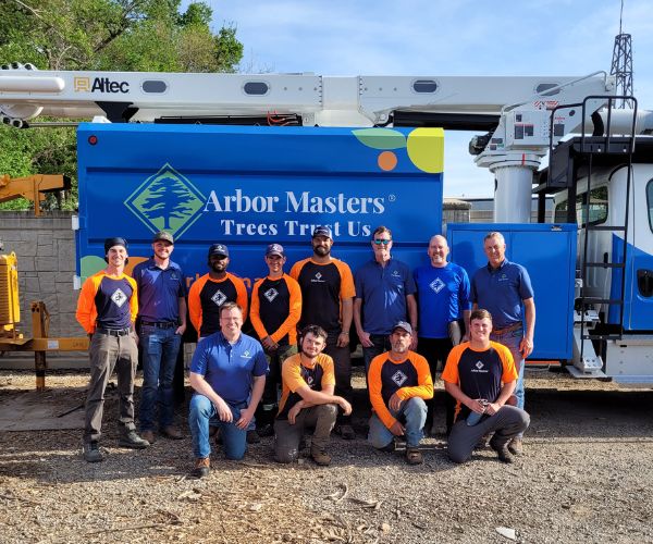 Superior Tree Wizards crew members on the job