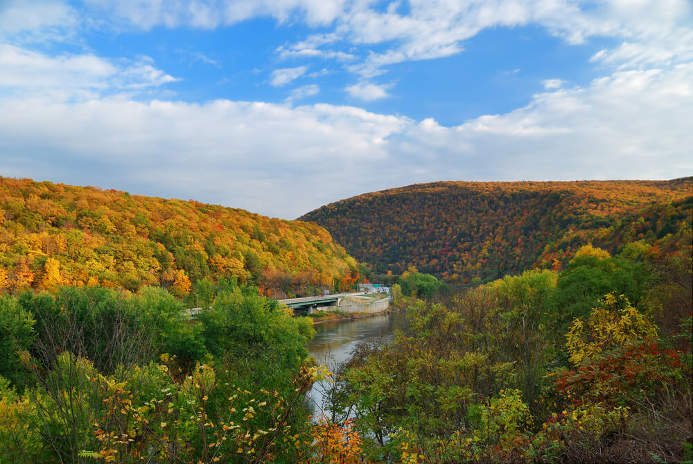 Fall foliage in the Poconos showing the beauty of well-maintained trees