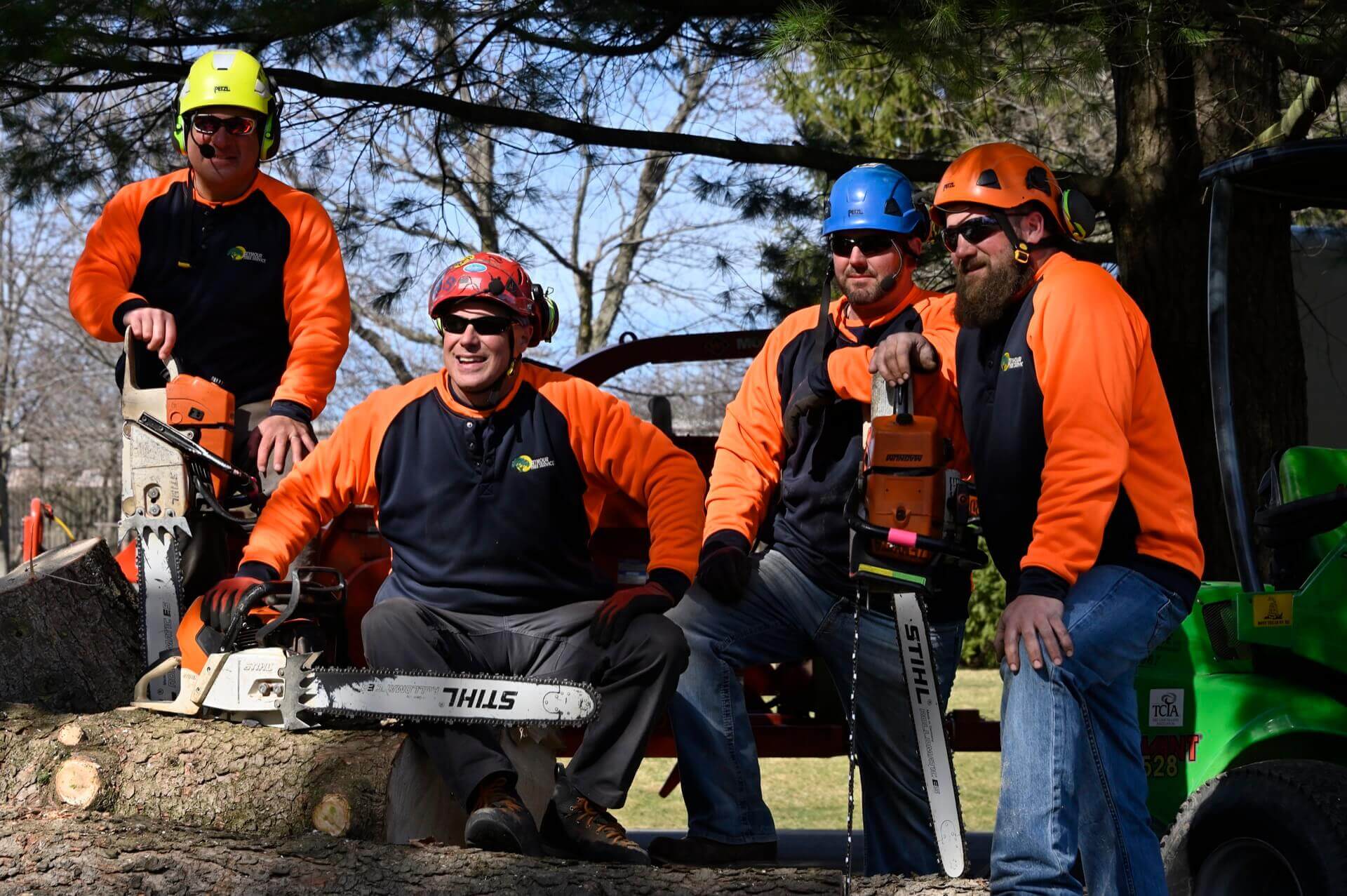 Professional tree trimming service in action with bucket truck